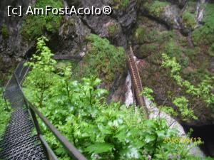 [P28]  -- <small>// FĂRĂ DESCRIERE</small> » foto by puiutea
 - 
<span class="allrVoted glyphicon glyphicon-heart hidden" id="av751934"></span>
<a class="m-l-10 hidden" id="sv751934" onclick="voting_Foto_DelVot(,751934,13782)" role="button">șterge vot <span class="glyphicon glyphicon-remove"></span></a>
<a id="v9751934" class=" c-red"  onclick="voting_Foto_SetVot(751934)" role="button"><span class="glyphicon glyphicon-heart-empty"></span> <b>LIKE</b> = Votează poza</a> <img class="hidden"  id="f751934W9" src="/imagini/loader.gif" border="0" /><span class="AjErrMes hidden" id="e751934ErM"></span>