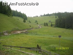 [P06] Din munții nostri » foto by puiutea
 - 
<span class="allrVoted glyphicon glyphicon-heart hidden" id="av751912"></span>
<a class="m-l-10 hidden" id="sv751912" onclick="voting_Foto_DelVot(,751912,13782)" role="button">șterge vot <span class="glyphicon glyphicon-remove"></span></a>
<a id="v9751912" class=" c-red"  onclick="voting_Foto_SetVot(751912)" role="button"><span class="glyphicon glyphicon-heart-empty"></span> <b>LIKE</b> = Votează poza</a> <img class="hidden"  id="f751912W9" src="/imagini/loader.gif" border="0" /><span class="AjErrMes hidden" id="e751912ErM"></span>