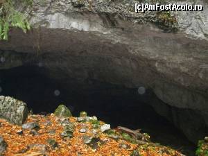 [P01]  -- <small>// FĂRĂ DESCRIERE</small> » foto by gabi82*
 - 
<span class="allrVoted glyphicon glyphicon-heart hidden" id="av570995"></span>
<a class="m-l-10 hidden" id="sv570995" onclick="voting_Foto_DelVot(,570995,13782)" role="button">șterge vot <span class="glyphicon glyphicon-remove"></span></a>
<a id="v9570995" class=" c-red"  onclick="voting_Foto_SetVot(570995)" role="button"><span class="glyphicon glyphicon-heart-empty"></span> <b>LIKE</b> = Votează poza</a> <img class="hidden"  id="f570995W9" src="/imagini/loader.gif" border="0" /><span class="AjErrMes hidden" id="e570995ErM"></span>