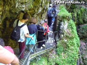 [P11] Peștera Scărișoara. Mai avem două scări și ajungem în peșteră » foto by FlorinAndrei
 - 
<span class="allrVoted glyphicon glyphicon-heart hidden" id="av620366"></span>
<a class="m-l-10 hidden" id="sv620366" onclick="voting_Foto_DelVot(,620366,13782)" role="button">șterge vot <span class="glyphicon glyphicon-remove"></span></a>
<a id="v9620366" class=" c-red"  onclick="voting_Foto_SetVot(620366)" role="button"><span class="glyphicon glyphicon-heart-empty"></span> <b>LIKE</b> = Votează poza</a> <img class="hidden"  id="f620366W9" src="/imagini/loader.gif" border="0" /><span class="AjErrMes hidden" id="e620366ErM"></span>