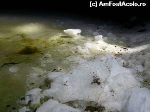 [P23] Peștera Ghețarul Scărișoara. Prim plan cu gheața din interior » foto by FlorinAndrei
 - 
<span class="allrVoted glyphicon glyphicon-heart hidden" id="av620392"></span>
<a class="m-l-10 hidden" id="sv620392" onclick="voting_Foto_DelVot(,620392,13782)" role="button">șterge vot <span class="glyphicon glyphicon-remove"></span></a>
<a id="v9620392" class=" c-red"  onclick="voting_Foto_SetVot(620392)" role="button"><span class="glyphicon glyphicon-heart-empty"></span> <b>LIKE</b> = Votează poza</a> <img class="hidden"  id="f620392W9" src="/imagini/loader.gif" border="0" /><span class="AjErrMes hidden" id="e620392ErM"></span>