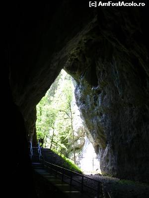 [P29] Peștera Poarta lui Ionele. Intrarea văzută din galeria de jos » foto by FlorinAndrei
 - 
<span class="allrVoted glyphicon glyphicon-heart hidden" id="av620403"></span>
<a class="m-l-10 hidden" id="sv620403" onclick="voting_Foto_DelVot(,620403,13782)" role="button">șterge vot <span class="glyphicon glyphicon-remove"></span></a>
<a id="v9620403" class=" c-red"  onclick="voting_Foto_SetVot(620403)" role="button"><span class="glyphicon glyphicon-heart-empty"></span> <b>LIKE</b> = Votează poza</a> <img class="hidden"  id="f620403W9" src="/imagini/loader.gif" border="0" /><span class="AjErrMes hidden" id="e620403ErM"></span>