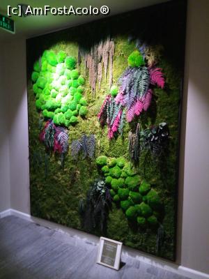 [P24] Decor natural intrare zona spa » foto by danutza_ang
 - 
<span class="allrVoted glyphicon glyphicon-heart hidden" id="av1127319"></span>
<a class="m-l-10 hidden" id="sv1127319" onclick="voting_Foto_DelVot(,1127319,13800)" role="button">șterge vot <span class="glyphicon glyphicon-remove"></span></a>
<a id="v91127319" class=" c-red"  onclick="voting_Foto_SetVot(1127319)" role="button"><span class="glyphicon glyphicon-heart-empty"></span> <b>LIKE</b> = Votează poza</a> <img class="hidden"  id="f1127319W9" src="/imagini/loader.gif" border="0" /><span class="AjErrMes hidden" id="e1127319ErM"></span>