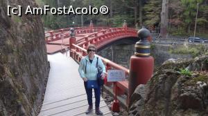 [P38] idem » foto by grecudoina
 - 
<span class="allrVoted glyphicon glyphicon-heart hidden" id="av1201578"></span>
<a class="m-l-10 hidden" id="sv1201578" onclick="voting_Foto_DelVot(,1201578,13808)" role="button">șterge vot <span class="glyphicon glyphicon-remove"></span></a>
<a id="v91201578" class=" c-red"  onclick="voting_Foto_SetVot(1201578)" role="button"><span class="glyphicon glyphicon-heart-empty"></span> <b>LIKE</b> = Votează poza</a> <img class="hidden"  id="f1201578W9" src="/imagini/loader.gif" border="0" /><span class="AjErrMes hidden" id="e1201578ErM"></span>