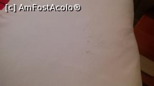 [P03] lenjeria de pat invechita si patata » foto by vio2016
 - 
<span class="allrVoted glyphicon glyphicon-heart hidden" id="av758814"></span>
<a class="m-l-10 hidden" id="sv758814" onclick="voting_Foto_DelVot(,758814,13817)" role="button">șterge vot <span class="glyphicon glyphicon-remove"></span></a>
<a id="v9758814" class=" c-red"  onclick="voting_Foto_SetVot(758814)" role="button"><span class="glyphicon glyphicon-heart-empty"></span> <b>LIKE</b> = Votează poza</a> <img class="hidden"  id="f758814W9" src="/imagini/loader.gif" border="0" /><span class="AjErrMes hidden" id="e758814ErM"></span>