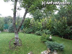[P02]  -- <small>// FĂRĂ DESCRIERE</small> » foto by bogdanuc
 - 
<span class="allrVoted glyphicon glyphicon-heart hidden" id="av458809"></span>
<a class="m-l-10 hidden" id="sv458809" onclick="voting_Foto_DelVot(,458809,13887)" role="button">șterge vot <span class="glyphicon glyphicon-remove"></span></a>
<a id="v9458809" class=" c-red"  onclick="voting_Foto_SetVot(458809)" role="button"><span class="glyphicon glyphicon-heart-empty"></span> <b>LIKE</b> = Votează poza</a> <img class="hidden"  id="f458809W9" src="/imagini/loader.gif" border="0" /><span class="AjErrMes hidden" id="e458809ErM"></span>