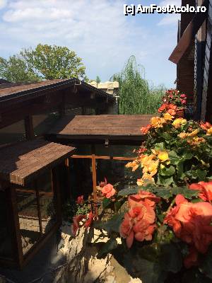 [P03] vedere de la balcon » foto by liviafcs
 - 
<span class="allrVoted glyphicon glyphicon-heart hidden" id="av545501"></span>
<a class="m-l-10 hidden" id="sv545501" onclick="voting_Foto_DelVot(,545501,13900)" role="button">șterge vot <span class="glyphicon glyphicon-remove"></span></a>
<a id="v9545501" class=" c-red"  onclick="voting_Foto_SetVot(545501)" role="button"><span class="glyphicon glyphicon-heart-empty"></span> <b>LIKE</b> = Votează poza</a> <img class="hidden"  id="f545501W9" src="/imagini/loader.gif" border="0" /><span class="AjErrMes hidden" id="e545501ErM"></span>