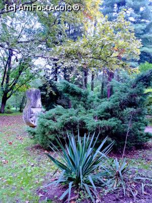 [P10] Pe aleile parcului. » foto by Rodel
 - 
<span class="allrVoted glyphicon glyphicon-heart hidden" id="av1343217"></span>
<a class="m-l-10 hidden" id="sv1343217" onclick="voting_Foto_DelVot(,1343217,13964)" role="button">șterge vot <span class="glyphicon glyphicon-remove"></span></a>
<a id="v91343217" class=" c-red"  onclick="voting_Foto_SetVot(1343217)" role="button"><span class="glyphicon glyphicon-heart-empty"></span> <b>LIKE</b> = Votează poza</a> <img class="hidden"  id="f1343217W9" src="/imagini/loader.gif" border="0" /><span class="AjErrMes hidden" id="e1343217ErM"></span>