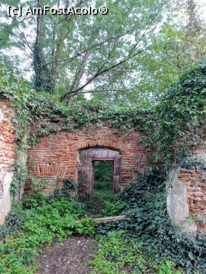 [P17] Ruine: romantism și mister! » foto by Rodel
 - 
<span class="allrVoted glyphicon glyphicon-heart hidden" id="av1343224"></span>
<a class="m-l-10 hidden" id="sv1343224" onclick="voting_Foto_DelVot(,1343224,13964)" role="button">șterge vot <span class="glyphicon glyphicon-remove"></span></a>
<a id="v91343224" class=" c-red"  onclick="voting_Foto_SetVot(1343224)" role="button"><span class="glyphicon glyphicon-heart-empty"></span> <b>LIKE</b> = Votează poza</a> <img class="hidden"  id="f1343224W9" src="/imagini/loader.gif" border="0" /><span class="AjErrMes hidden" id="e1343224ErM"></span>
