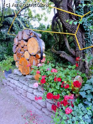 [P19] La intrare în parc. » foto by Rodel
 - 
<span class="allrVoted glyphicon glyphicon-heart hidden" id="av1343226"></span>
<a class="m-l-10 hidden" id="sv1343226" onclick="voting_Foto_DelVot(,1343226,13964)" role="button">șterge vot <span class="glyphicon glyphicon-remove"></span></a>
<a id="v91343226" class=" c-red"  onclick="voting_Foto_SetVot(1343226)" role="button"><span class="glyphicon glyphicon-heart-empty"></span> <b>LIKE</b> = Votează poza</a> <img class="hidden"  id="f1343226W9" src="/imagini/loader.gif" border="0" /><span class="AjErrMes hidden" id="e1343226ErM"></span>