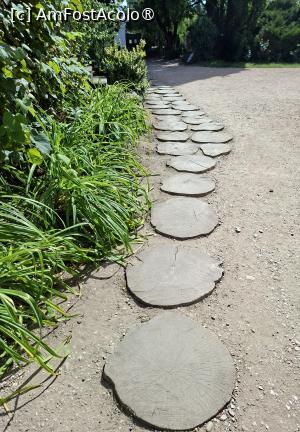 [P14] Parcul dendrologic (Arboretum) din Simeria » foto by Carmen Ion
 - 
<span class="allrVoted glyphicon glyphicon-heart hidden" id="av1511413"></span>
<a class="m-l-10 hidden" id="sv1511413" onclick="voting_Foto_DelVot(,1511413,13964)" role="button">șterge vot <span class="glyphicon glyphicon-remove"></span></a>
<a id="v91511413" class=" c-red"  onclick="voting_Foto_SetVot(1511413)" role="button"><span class="glyphicon glyphicon-heart-empty"></span> <b>LIKE</b> = Votează poza</a> <img class="hidden"  id="f1511413W9" src="/imagini/loader.gif" border="0" /><span class="AjErrMes hidden" id="e1511413ErM"></span>