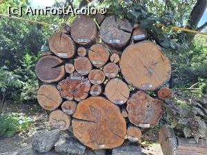 [P17] Parcul dendrologic (Arboretum) din Simeria » foto by Carmen Ion
 - 
<span class="allrVoted glyphicon glyphicon-heart hidden" id="av1511416"></span>
<a class="m-l-10 hidden" id="sv1511416" onclick="voting_Foto_DelVot(,1511416,13964)" role="button">șterge vot <span class="glyphicon glyphicon-remove"></span></a>
<a id="v91511416" class=" c-red"  onclick="voting_Foto_SetVot(1511416)" role="button"><span class="glyphicon glyphicon-heart-empty"></span> <b>LIKE</b> = Votează poza</a> <img class="hidden"  id="f1511416W9" src="/imagini/loader.gif" border="0" /><span class="AjErrMes hidden" id="e1511416ErM"></span>