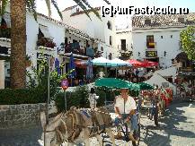 [P12] Am intalnit pe strada primii magari pitoresti » foto by mireille
 - 
<span class="allrVoted glyphicon glyphicon-heart hidden" id="av414077"></span>
<a class="m-l-10 hidden" id="sv414077" onclick="voting_Foto_DelVot(,414077,13982)" role="button">șterge vot <span class="glyphicon glyphicon-remove"></span></a>
<a id="v9414077" class=" c-red"  onclick="voting_Foto_SetVot(414077)" role="button"><span class="glyphicon glyphicon-heart-empty"></span> <b>LIKE</b> = Votează poza</a> <img class="hidden"  id="f414077W9" src="/imagini/loader.gif" border="0" /><span class="AjErrMes hidden" id="e414077ErM"></span>
