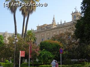 [P50] Sevilla » foto by carmenvieru11
 - 
<span class="allrVoted glyphicon glyphicon-heart hidden" id="av975259"></span>
<a class="m-l-10 hidden" id="sv975259" onclick="voting_Foto_DelVot(,975259,14091)" role="button">șterge vot <span class="glyphicon glyphicon-remove"></span></a>
<a id="v9975259" class=" c-red"  onclick="voting_Foto_SetVot(975259)" role="button"><span class="glyphicon glyphicon-heart-empty"></span> <b>LIKE</b> = Votează poza</a> <img class="hidden"  id="f975259W9" src="/imagini/loader.gif" border="0" /><span class="AjErrMes hidden" id="e975259ErM"></span>