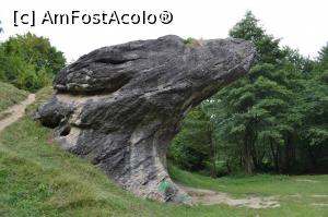 [P19] Piatra broastei » foto by AZE
 - 
<span class="allrVoted glyphicon glyphicon-heart hidden" id="av786034"></span>
<a class="m-l-10 hidden" id="sv786034" onclick="voting_Foto_DelVot(,786034,14095)" role="button">șterge vot <span class="glyphicon glyphicon-remove"></span></a>
<a id="v9786034" class=" c-red"  onclick="voting_Foto_SetVot(786034)" role="button"><span class="glyphicon glyphicon-heart-empty"></span> <b>LIKE</b> = Votează poza</a> <img class="hidden"  id="f786034W9" src="/imagini/loader.gif" border="0" /><span class="AjErrMes hidden" id="e786034ErM"></span>