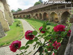 [P16] Galeria acoperită de strajă - Cisnădie.  » foto by tata123 🔱
 - 
<span class="allrVoted glyphicon glyphicon-heart hidden" id="av698449"></span>
<a class="m-l-10 hidden" id="sv698449" onclick="voting_Foto_DelVot(,698449,14095)" role="button">șterge vot <span class="glyphicon glyphicon-remove"></span></a>
<a id="v9698449" class=" c-red"  onclick="voting_Foto_SetVot(698449)" role="button"><span class="glyphicon glyphicon-heart-empty"></span> <b>LIKE</b> = Votează poza</a> <img class="hidden"  id="f698449W9" src="/imagini/loader.gif" border="0" /><span class="AjErrMes hidden" id="e698449ErM"></span>