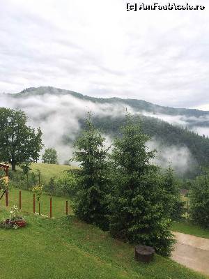 [P02] Dimineata privita pe fereastra » foto by Ana Cristina
 - 
<span class="allrVoted glyphicon glyphicon-heart hidden" id="av551548"></span>
<a class="m-l-10 hidden" id="sv551548" onclick="voting_Foto_DelVot(,551548,14116)" role="button">șterge vot <span class="glyphicon glyphicon-remove"></span></a>
<a id="v9551548" class=" c-red"  onclick="voting_Foto_SetVot(551548)" role="button"><span class="glyphicon glyphicon-heart-empty"></span> <b>LIKE</b> = Votează poza</a> <img class="hidden"  id="f551548W9" src="/imagini/loader.gif" border="0" /><span class="AjErrMes hidden" id="e551548ErM"></span>