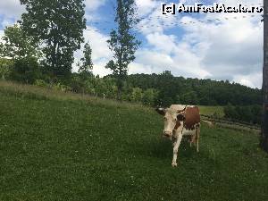 [P03]  -- <small>// FĂRĂ DESCRIERE</small> » foto by Ana Cristina
 - 
<span class="allrVoted glyphicon glyphicon-heart hidden" id="av551549"></span>
<a class="m-l-10 hidden" id="sv551549" onclick="voting_Foto_DelVot(,551549,14116)" role="button">șterge vot <span class="glyphicon glyphicon-remove"></span></a>
<a id="v9551549" class=" c-red"  onclick="voting_Foto_SetVot(551549)" role="button"><span class="glyphicon glyphicon-heart-empty"></span> <b>LIKE</b> = Votează poza</a> <img class="hidden"  id="f551549W9" src="/imagini/loader.gif" border="0" /><span class="AjErrMes hidden" id="e551549ErM"></span>