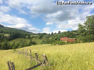 [P09]  -- <small>// FĂRĂ DESCRIERE</small> » foto by Ana Cristina
 - 
<span class="allrVoted glyphicon glyphicon-heart hidden" id="av551557"></span>
<a class="m-l-10 hidden" id="sv551557" onclick="voting_Foto_DelVot(,551557,14116)" role="button">șterge vot <span class="glyphicon glyphicon-remove"></span></a>
<a id="v9551557" class=" c-red"  onclick="voting_Foto_SetVot(551557)" role="button"><span class="glyphicon glyphicon-heart-empty"></span> <b>LIKE</b> = Votează poza</a> <img class="hidden"  id="f551557W9" src="/imagini/loader.gif" border="0" /><span class="AjErrMes hidden" id="e551557ErM"></span>