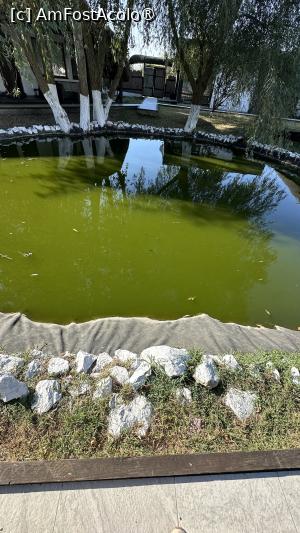 [P03] iazul plin de mizerie » foto by Luy
 - 
<span class="allrVoted glyphicon glyphicon-heart hidden" id="av1497620"></span>
<a class="m-l-10 hidden" id="sv1497620" onclick="voting_Foto_DelVot(,1497620,14152)" role="button">șterge vot <span class="glyphicon glyphicon-remove"></span></a>
<a id="v91497620" class=" c-red"  onclick="voting_Foto_SetVot(1497620)" role="button"><span class="glyphicon glyphicon-heart-empty"></span> <b>LIKE</b> = Votează poza</a> <img class="hidden"  id="f1497620W9" src="/imagini/loader.gif" border="0" /><span class="AjErrMes hidden" id="e1497620ErM"></span>