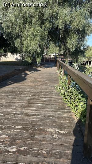 [P04] platforma din fata cladirii » foto by Luy
 - 
<span class="allrVoted glyphicon glyphicon-heart hidden" id="av1497621"></span>
<a class="m-l-10 hidden" id="sv1497621" onclick="voting_Foto_DelVot(,1497621,14152)" role="button">șterge vot <span class="glyphicon glyphicon-remove"></span></a>
<a id="v91497621" class=" c-red"  onclick="voting_Foto_SetVot(1497621)" role="button"><span class="glyphicon glyphicon-heart-empty"></span> <b>LIKE</b> = Votează poza</a> <img class="hidden"  id="f1497621W9" src="/imagini/loader.gif" border="0" /><span class="AjErrMes hidden" id="e1497621ErM"></span>