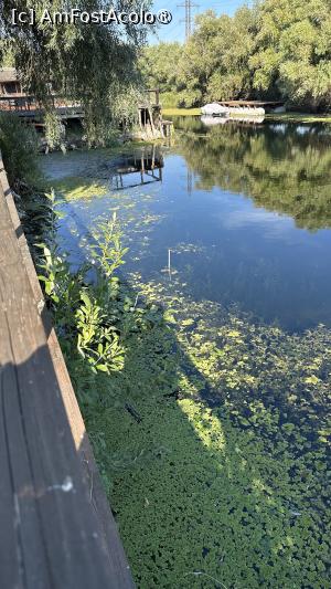 [P05]  -- <small>// FĂRĂ DESCRIERE</small> » foto by Luy
 - 
<span class="allrVoted glyphicon glyphicon-heart hidden" id="av1497622"></span>
<a class="m-l-10 hidden" id="sv1497622" onclick="voting_Foto_DelVot(,1497622,14152)" role="button">șterge vot <span class="glyphicon glyphicon-remove"></span></a>
<a id="v91497622" class=" c-red"  onclick="voting_Foto_SetVot(1497622)" role="button"><span class="glyphicon glyphicon-heart-empty"></span> <b>LIKE</b> = Votează poza</a> <img class="hidden"  id="f1497622W9" src="/imagini/loader.gif" border="0" /><span class="AjErrMes hidden" id="e1497622ErM"></span>