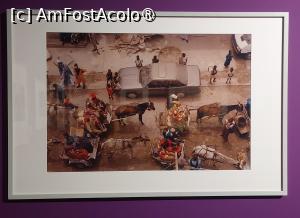 [P36] Sybille Bergemann: Dakar (Senegal) » foto by Carmen Ion
 - 
<span class="allrVoted glyphicon glyphicon-heart hidden" id="av1459290"></span>
<a class="m-l-10 hidden" id="sv1459290" onclick="voting_Foto_DelVot(,1459290,14175)" role="button">șterge vot <span class="glyphicon glyphicon-remove"></span></a>
<a id="v91459290" class=" c-red"  onclick="voting_Foto_SetVot(1459290)" role="button"><span class="glyphicon glyphicon-heart-empty"></span> <b>LIKE</b> = Votează poza</a> <img class="hidden"  id="f1459290W9" src="/imagini/loader.gif" border="0" /><span class="AjErrMes hidden" id="e1459290ErM"></span>