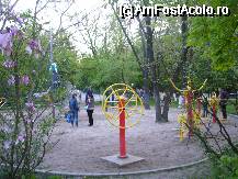 [P10] Parcul National  - 'Sala de fitness'!!! » foto by magdalena
 - 
<span class="allrVoted glyphicon glyphicon-heart hidden" id="av67636"></span>
<a class="m-l-10 hidden" id="sv67636" onclick="voting_Foto_DelVot(,67636,14175)" role="button">șterge vot <span class="glyphicon glyphicon-remove"></span></a>
<a id="v967636" class=" c-red"  onclick="voting_Foto_SetVot(67636)" role="button"><span class="glyphicon glyphicon-heart-empty"></span> <b>LIKE</b> = Votează poza</a> <img class="hidden"  id="f67636W9" src="/imagini/loader.gif" border="0" /><span class="AjErrMes hidden" id="e67636ErM"></span>