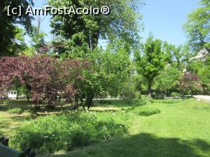 [P07] Cişmigiul în primăvara timpurie » foto by Michi
 - 
<span class="allrVoted glyphicon glyphicon-heart hidden" id="av732477"></span>
<a class="m-l-10 hidden" id="sv732477" onclick="voting_Foto_DelVot(,732477,14175)" role="button">șterge vot <span class="glyphicon glyphicon-remove"></span></a>
<a id="v9732477" class=" c-red"  onclick="voting_Foto_SetVot(732477)" role="button"><span class="glyphicon glyphicon-heart-empty"></span> <b>LIKE</b> = Votează poza</a> <img class="hidden"  id="f732477W9" src="/imagini/loader.gif" border="0" /><span class="AjErrMes hidden" id="e732477ErM"></span>