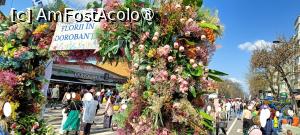 [P11] Arcadă de flori - intrare eveniment. » foto by tata123 🔱
 - 
<span class="allrVoted glyphicon glyphicon-heart hidden" id="av1523630"></span>
<a class="m-l-10 hidden" id="sv1523630" onclick="voting_Foto_DelVot(,1523630,14175)" role="button">șterge vot <span class="glyphicon glyphicon-remove"></span></a>
<a id="v91523630" class=" c-red"  onclick="voting_Foto_SetVot(1523630)" role="button"><span class="glyphicon glyphicon-heart-empty"></span> <b>LIKE</b> = Votează poza</a> <img class="hidden"  id="f1523630W9" src="/imagini/loader.gif" border="0" /><span class="AjErrMes hidden" id="e1523630ErM"></span>