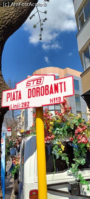 [P18] Flori în Piața Dorobanți. » foto by tata123 🔱
 - 
<span class="allrVoted glyphicon glyphicon-heart hidden" id="av1523637"></span>
<a class="m-l-10 hidden" id="sv1523637" onclick="voting_Foto_DelVot(,1523637,14175)" role="button">șterge vot <span class="glyphicon glyphicon-remove"></span></a>
<a id="v91523637" class=" c-red"  onclick="voting_Foto_SetVot(1523637)" role="button"><span class="glyphicon glyphicon-heart-empty"></span> <b>LIKE</b> = Votează poza</a> <img class="hidden"  id="f1523637W9" src="/imagini/loader.gif" border="0" /><span class="AjErrMes hidden" id="e1523637ErM"></span>