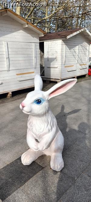 [P14] Easter Wonderland - decorațiuni. » foto by tata123 🔱
 - 
<span class="allrVoted glyphicon glyphicon-heart hidden" id="av1524362"></span>
<a class="m-l-10 hidden" id="sv1524362" onclick="voting_Foto_DelVot(,1524362,14175)" role="button">șterge vot <span class="glyphicon glyphicon-remove"></span></a>
<a id="v91524362" class=" c-red"  onclick="voting_Foto_SetVot(1524362)" role="button"><span class="glyphicon glyphicon-heart-empty"></span> <b>LIKE</b> = Votează poza</a> <img class="hidden"  id="f1524362W9" src="/imagini/loader.gif" border="0" /><span class="AjErrMes hidden" id="e1524362ErM"></span>