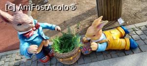 [P24] Easter Wonderland - decorațiuni. » foto by tata123 🔱
 - 
<span class="allrVoted glyphicon glyphicon-heart hidden" id="av1524372"></span>
<a class="m-l-10 hidden" id="sv1524372" onclick="voting_Foto_DelVot(,1524372,14175)" role="button">șterge vot <span class="glyphicon glyphicon-remove"></span></a>
<a id="v91524372" class=" c-red"  onclick="voting_Foto_SetVot(1524372)" role="button"><span class="glyphicon glyphicon-heart-empty"></span> <b>LIKE</b> = Votează poza</a> <img class="hidden"  id="f1524372W9" src="/imagini/loader.gif" border="0" /><span class="AjErrMes hidden" id="e1524372ErM"></span>