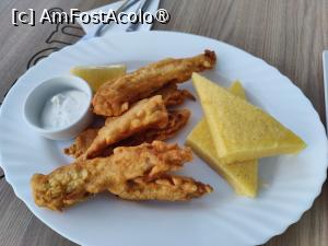 [P09] Terasa Coral - șalău pane » foto by crismis
 - 
<span class="allrVoted glyphicon glyphicon-heart hidden" id="av1500151"></span>
<a class="m-l-10 hidden" id="sv1500151" onclick="voting_Foto_DelVot(,1500151,14190)" role="button">șterge vot <span class="glyphicon glyphicon-remove"></span></a>
<a id="v91500151" class=" c-red"  onclick="voting_Foto_SetVot(1500151)" role="button"><span class="glyphicon glyphicon-heart-empty"></span> <b>LIKE</b> = Votează poza</a> <img class="hidden"  id="f1500151W9" src="/imagini/loader.gif" border="0" /><span class="AjErrMes hidden" id="e1500151ErM"></span>