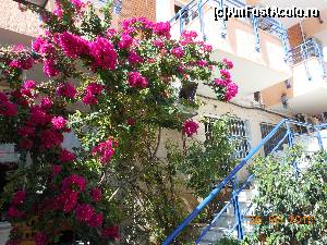 [P19] Sarandë - Hotel Nertili învăluit de plante înflorite.  » foto by iulianic
 - 
<span class="allrVoted glyphicon glyphicon-heart hidden" id="av687795"></span>
<a class="m-l-10 hidden" id="sv687795" onclick="voting_Foto_DelVot(,687795,14195)" role="button">șterge vot <span class="glyphicon glyphicon-remove"></span></a>
<a id="v9687795" class=" c-red"  onclick="voting_Foto_SetVot(687795)" role="button"><span class="glyphicon glyphicon-heart-empty"></span> <b>LIKE</b> = Votează poza</a> <img class="hidden"  id="f687795W9" src="/imagini/loader.gif" border="0" /><span class="AjErrMes hidden" id="e687795ErM"></span>