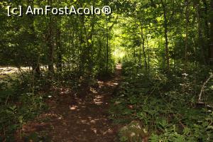 [P14] Te simti un pic ca prin jungla » foto by DanSta
 - 
<span class="allrVoted glyphicon glyphicon-heart hidden" id="av1171015"></span>
<a class="m-l-10 hidden" id="sv1171015" onclick="voting_Foto_DelVot(,1171015,14212)" role="button">șterge vot <span class="glyphicon glyphicon-remove"></span></a>
<a id="v91171015" class=" c-red"  onclick="voting_Foto_SetVot(1171015)" role="button"><span class="glyphicon glyphicon-heart-empty"></span> <b>LIKE</b> = Votează poza</a> <img class="hidden"  id="f1171015W9" src="/imagini/loader.gif" border="0" /><span class="AjErrMes hidden" id="e1171015ErM"></span>