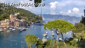 [P12] portofino » foto by lalely
 - 
<span class="allrVoted glyphicon glyphicon-heart hidden" id="av804016"></span>
<a class="m-l-10 hidden" id="sv804016" onclick="voting_Foto_DelVot(,804016,14241)" role="button">șterge vot <span class="glyphicon glyphicon-remove"></span></a>
<a id="v9804016" class=" c-red"  onclick="voting_Foto_SetVot(804016)" role="button"><span class="glyphicon glyphicon-heart-empty"></span> <b>LIKE</b> = Votează poza</a> <img class="hidden"  id="f804016W9" src="/imagini/loader.gif" border="0" /><span class="AjErrMes hidden" id="e804016ErM"></span>