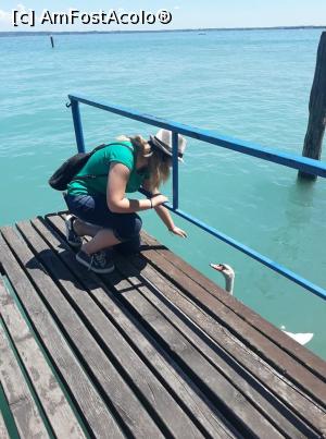 [P04] Sirmione » foto by catalinioan
 - 
<span class="allrVoted glyphicon glyphicon-heart hidden" id="av1081183"></span>
<a class="m-l-10 hidden" id="sv1081183" onclick="voting_Foto_DelVot(,1081183,14241)" role="button">șterge vot <span class="glyphicon glyphicon-remove"></span></a>
<a id="v91081183" class=" c-red"  onclick="voting_Foto_SetVot(1081183)" role="button"><span class="glyphicon glyphicon-heart-empty"></span> <b>LIKE</b> = Votează poza</a> <img class="hidden"  id="f1081183W9" src="/imagini/loader.gif" border="0" /><span class="AjErrMes hidden" id="e1081183ErM"></span>