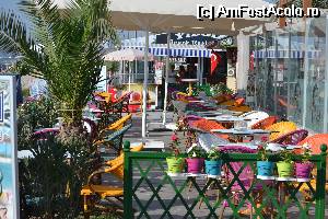 [P17]  -- <small>// FĂRĂ DESCRIERE</small> » foto by RossoNerro
 - 
<span class="allrVoted glyphicon glyphicon-heart hidden" id="av515980"></span>
<a class="m-l-10 hidden" id="sv515980" onclick="voting_Foto_DelVot(,515980,14245)" role="button">șterge vot <span class="glyphicon glyphicon-remove"></span></a>
<a id="v9515980" class=" c-red"  onclick="voting_Foto_SetVot(515980)" role="button"><span class="glyphicon glyphicon-heart-empty"></span> <b>LIKE</b> = Votează poza</a> <img class="hidden"  id="f515980W9" src="/imagini/loader.gif" border="0" /><span class="AjErrMes hidden" id="e515980ErM"></span>