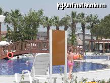 [P22] la piscina » foto by mary-criss
 - 
<span class="allrVoted glyphicon glyphicon-heart hidden" id="av424863"></span>
<a class="m-l-10 hidden" id="sv424863" onclick="voting_Foto_DelVot(,424863,14245)" role="button">șterge vot <span class="glyphicon glyphicon-remove"></span></a>
<a id="v9424863" class=" c-red"  onclick="voting_Foto_SetVot(424863)" role="button"><span class="glyphicon glyphicon-heart-empty"></span> <b>LIKE</b> = Votează poza</a> <img class="hidden"  id="f424863W9" src="/imagini/loader.gif" border="0" /><span class="AjErrMes hidden" id="e424863ErM"></span>