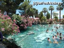 [P36] tot la piscina » foto by mary-criss
 - 
<span class="allrVoted glyphicon glyphicon-heart hidden" id="av424937"></span>
<a class="m-l-10 hidden" id="sv424937" onclick="voting_Foto_DelVot(,424937,14245)" role="button">șterge vot <span class="glyphicon glyphicon-remove"></span></a>
<a id="v9424937" class=" c-red"  onclick="voting_Foto_SetVot(424937)" role="button"><span class="glyphicon glyphicon-heart-empty"></span> <b>LIKE</b> = Votează poza</a> <img class="hidden"  id="f424937W9" src="/imagini/loader.gif" border="0" /><span class="AjErrMes hidden" id="e424937ErM"></span>