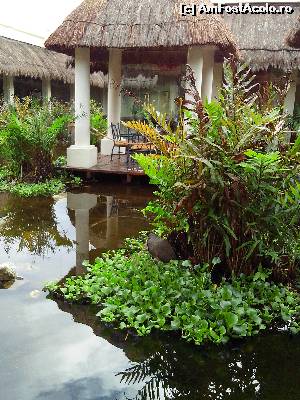 [P02]  -- <small>// FĂRĂ DESCRIERE</small> » foto by viorelpop
 - 
<span class="allrVoted glyphicon glyphicon-heart hidden" id="av521368"></span>
<a class="m-l-10 hidden" id="sv521368" onclick="voting_Foto_DelVot(,521368,14286)" role="button">șterge vot <span class="glyphicon glyphicon-remove"></span></a>
<a id="v9521368" class=" c-red"  onclick="voting_Foto_SetVot(521368)" role="button"><span class="glyphicon glyphicon-heart-empty"></span> <b>LIKE</b> = Votează poza</a> <img class="hidden"  id="f521368W9" src="/imagini/loader.gif" border="0" /><span class="AjErrMes hidden" id="e521368ErM"></span>