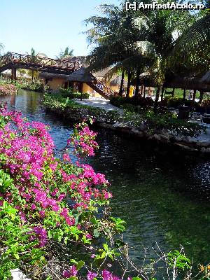 [P03]  -- <small>// FĂRĂ DESCRIERE</small> » foto by viorelpop
 - 
<span class="allrVoted glyphicon glyphicon-heart hidden" id="av521369"></span>
<a class="m-l-10 hidden" id="sv521369" onclick="voting_Foto_DelVot(,521369,14286)" role="button">șterge vot <span class="glyphicon glyphicon-remove"></span></a>
<a id="v9521369" class=" c-red"  onclick="voting_Foto_SetVot(521369)" role="button"><span class="glyphicon glyphicon-heart-empty"></span> <b>LIKE</b> = Votează poza</a> <img class="hidden"  id="f521369W9" src="/imagini/loader.gif" border="0" /><span class="AjErrMes hidden" id="e521369ErM"></span>