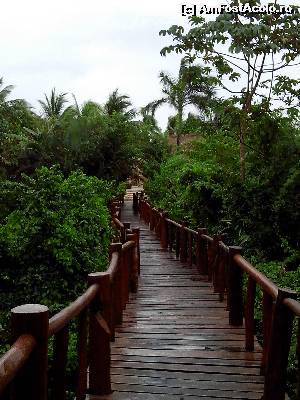 [P04]  -- <small>// FĂRĂ DESCRIERE</small> » foto by viorelpop
 - 
<span class="allrVoted glyphicon glyphicon-heart hidden" id="av521370"></span>
<a class="m-l-10 hidden" id="sv521370" onclick="voting_Foto_DelVot(,521370,14286)" role="button">șterge vot <span class="glyphicon glyphicon-remove"></span></a>
<a id="v9521370" class=" c-red"  onclick="voting_Foto_SetVot(521370)" role="button"><span class="glyphicon glyphicon-heart-empty"></span> <b>LIKE</b> = Votează poza</a> <img class="hidden"  id="f521370W9" src="/imagini/loader.gif" border="0" /><span class="AjErrMes hidden" id="e521370ErM"></span>