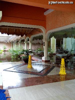 [P07]  -- <small>// FĂRĂ DESCRIERE</small> » foto by viorelpop
 - 
<span class="allrVoted glyphicon glyphicon-heart hidden" id="av521838"></span>
<a class="m-l-10 hidden" id="sv521838" onclick="voting_Foto_DelVot(,521838,14286)" role="button">șterge vot <span class="glyphicon glyphicon-remove"></span></a>
<a id="v9521838" class=" c-red"  onclick="voting_Foto_SetVot(521838)" role="button"><span class="glyphicon glyphicon-heart-empty"></span> <b>LIKE</b> = Votează poza</a> <img class="hidden"  id="f521838W9" src="/imagini/loader.gif" border="0" /><span class="AjErrMes hidden" id="e521838ErM"></span>