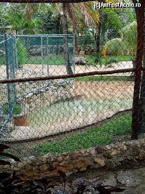 [P08]  -- <small>// FĂRĂ DESCRIERE</small> » foto by viorelpop
 - 
<span class="allrVoted glyphicon glyphicon-heart hidden" id="av521839"></span>
<a class="m-l-10 hidden" id="sv521839" onclick="voting_Foto_DelVot(,521839,14286)" role="button">șterge vot <span class="glyphicon glyphicon-remove"></span></a>
<a id="v9521839" class=" c-red"  onclick="voting_Foto_SetVot(521839)" role="button"><span class="glyphicon glyphicon-heart-empty"></span> <b>LIKE</b> = Votează poza</a> <img class="hidden"  id="f521839W9" src="/imagini/loader.gif" border="0" /><span class="AjErrMes hidden" id="e521839ErM"></span>