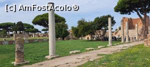 [P14] Forumul şi Capitolium în dreapta » foto by irinad
 - 
<span class="allrVoted glyphicon glyphicon-heart hidden" id="av1379953"></span>
<a class="m-l-10 hidden" id="sv1379953" onclick="voting_Foto_DelVot(,1379953,14290)" role="button">șterge vot <span class="glyphicon glyphicon-remove"></span></a>
<a id="v91379953" class=" c-red"  onclick="voting_Foto_SetVot(1379953)" role="button"><span class="glyphicon glyphicon-heart-empty"></span> <b>LIKE</b> = Votează poza</a> <img class="hidden"  id="f1379953W9" src="/imagini/loader.gif" border="0" /><span class="AjErrMes hidden" id="e1379953ErM"></span>