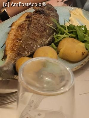 [P07] Restaurant AlaMar din Koukounaries, Skiathos » foto by vlado2
 - 
<span class="allrVoted glyphicon glyphicon-heart hidden" id="av1523214"></span>
<a class="m-l-10 hidden" id="sv1523214" onclick="voting_Foto_DelVot(,1523214,14358)" role="button">șterge vot <span class="glyphicon glyphicon-remove"></span></a>
<a id="v91523214" class=" c-red"  onclick="voting_Foto_SetVot(1523214)" role="button"><span class="glyphicon glyphicon-heart-empty"></span> <b>LIKE</b> = Votează poza</a> <img class="hidden"  id="f1523214W9" src="/imagini/loader.gif" border="0" /><span class="AjErrMes hidden" id="e1523214ErM"></span>