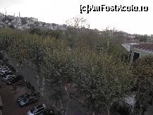 [P21] Platanii de pe stradă, uşor cam prăfuiţi: fie e vreun soi cu frunze mai decolorate, fie s-a mutat fabrica de ciment din Comarnic prin cartier (realmente îmi aduceau aminte de peisajul din Comarnicul anilor 80).  » foto by abancor
 - 
<span class="allrVoted glyphicon glyphicon-heart hidden" id="av430676"></span>
<a class="m-l-10 hidden" id="sv430676" onclick="voting_Foto_DelVot(,430676,14373)" role="button">șterge vot <span class="glyphicon glyphicon-remove"></span></a>
<a id="v9430676" class=" c-red"  onclick="voting_Foto_SetVot(430676)" role="button"><span class="glyphicon glyphicon-heart-empty"></span> <b>LIKE</b> = Votează poza</a> <img class="hidden"  id="f430676W9" src="/imagini/loader.gif" border="0" /><span class="AjErrMes hidden" id="e430676ErM"></span>