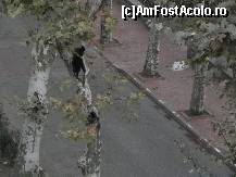 [P22] O scorbură neverosimilă, copacul ar trebui să se mai ţină numai în scoarţă.  » foto by abancor
 - 
<span class="allrVoted glyphicon glyphicon-heart hidden" id="av430677"></span>
<a class="m-l-10 hidden" id="sv430677" onclick="voting_Foto_DelVot(,430677,14373)" role="button">șterge vot <span class="glyphicon glyphicon-remove"></span></a>
<a id="v9430677" class=" c-red"  onclick="voting_Foto_SetVot(430677)" role="button"><span class="glyphicon glyphicon-heart-empty"></span> <b>LIKE</b> = Votează poza</a> <img class="hidden"  id="f430677W9" src="/imagini/loader.gif" border="0" /><span class="AjErrMes hidden" id="e430677ErM"></span>